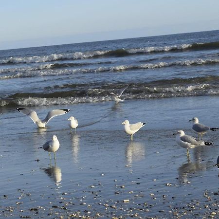 Loris Landing Cottage Myrtle Beach Bagian luar foto
